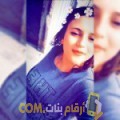  أنا سها من مصر 19 سنة عازب(ة) و أبحث عن رجال ل التعارف