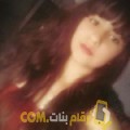  أنا شيمة من الجزائر 19 سنة عازب(ة) و أبحث عن رجال ل الزواج